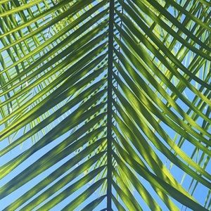 Meet your Posher, River